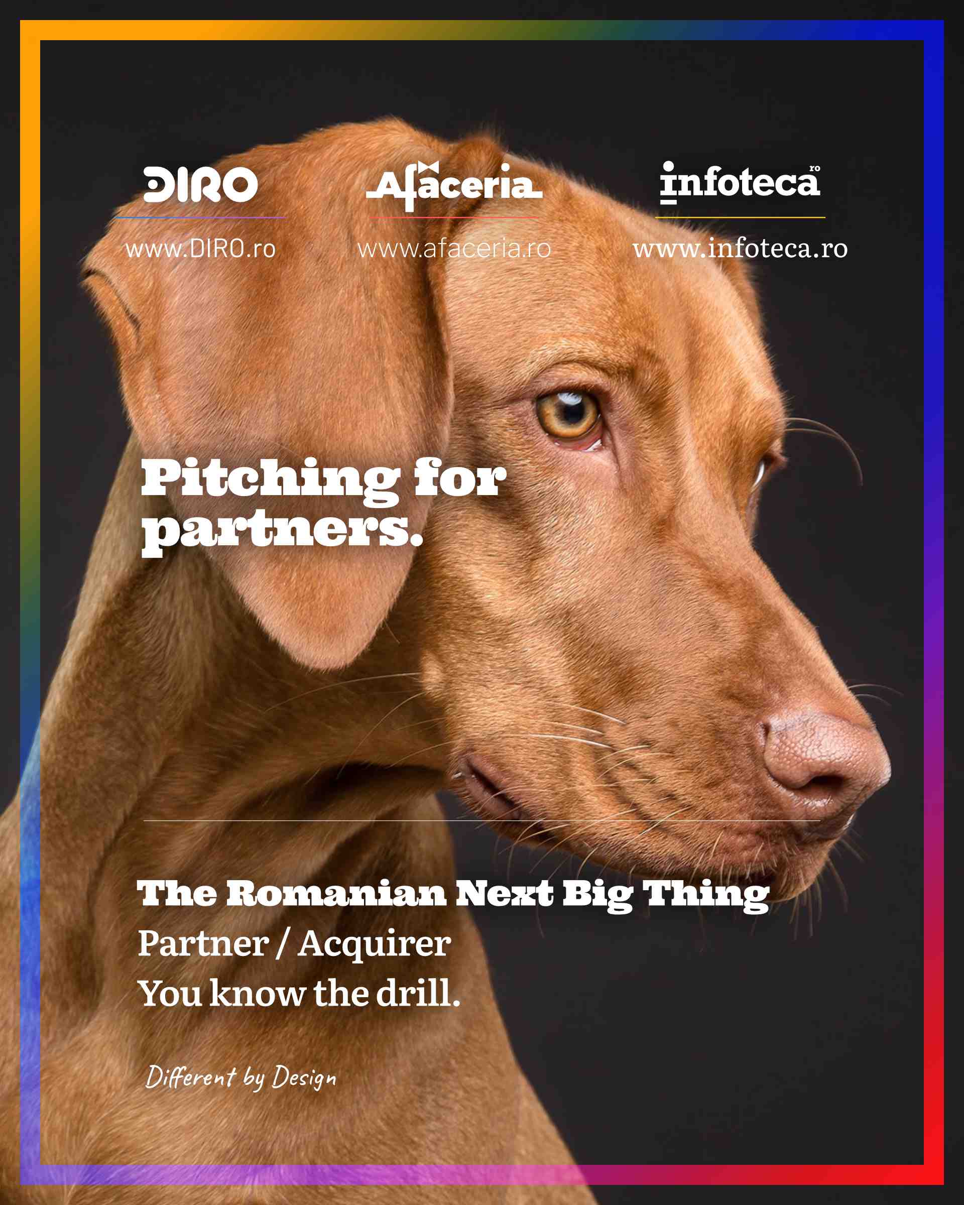 pitching partners 02