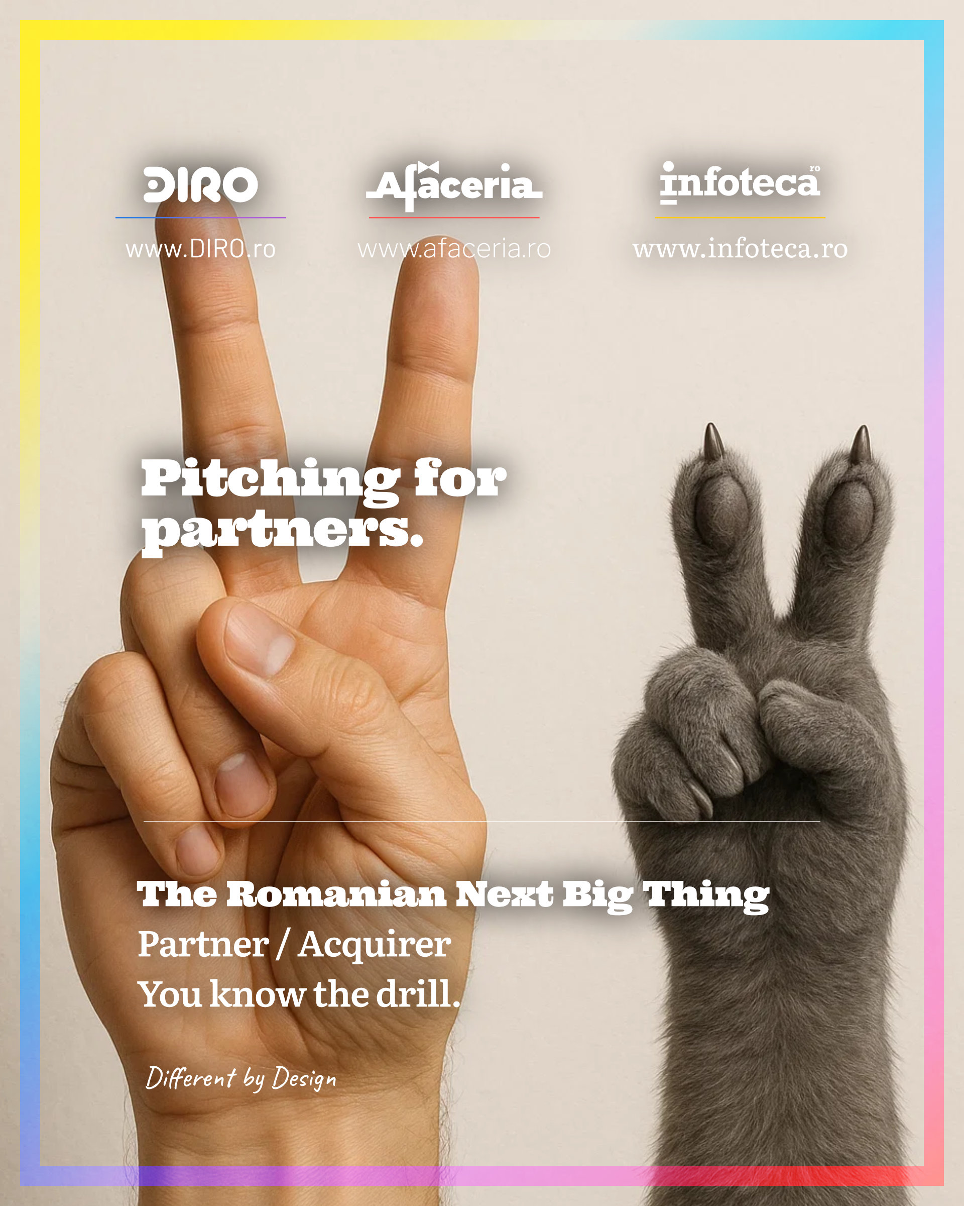 pitching partners 07